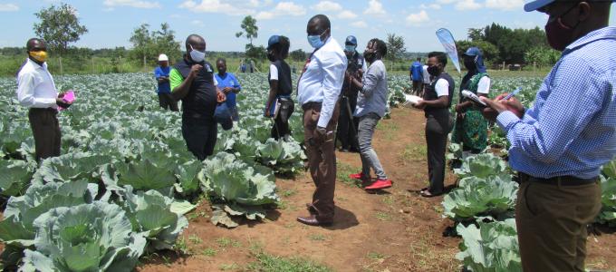 District Councillors Tour